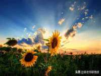 苏州无与伦商贸有限公司