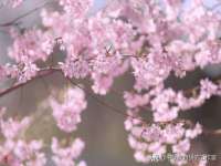 苏州无与伦商贸有限公司