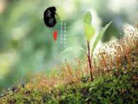苏州无与伦商贸有限公司