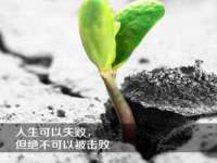 苏州无与伦商贸有限公司