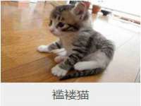 苏州无与伦商贸有限公司