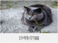 苏州无与伦商贸有限公司