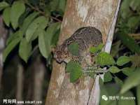 苏州无与伦商贸有限公司