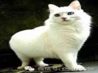 苏州无与伦商贸有限公司
