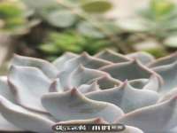 苏州无与伦商贸有限公司