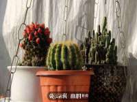 苏州无与伦商贸有限公司
