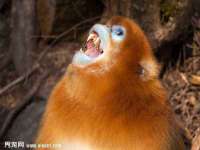 苏州无与伦商贸有限公司