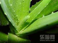 苏州无与伦商贸有限公司