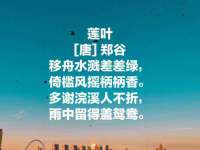 苏州无与伦商贸有限公司