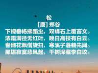 苏州无与伦商贸有限公司