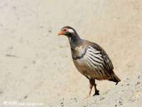 苏州无与伦商贸有限公司