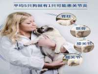苏州无与伦商贸有限公司