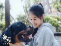 苏州无与伦商贸有限公司