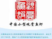 苏州无与伦商贸有限公司