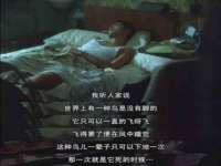 苏州无与伦商贸有限公司