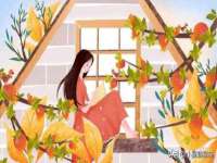 苏州无与伦商贸有限公司