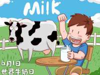 苏州无与伦商贸有限公司