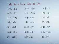 苏州无与伦商贸有限公司