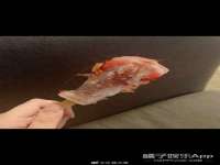 苏州无与伦商贸有限公司